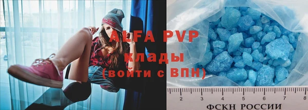 индика Абинск