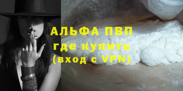 прущие грибы Уссурийск