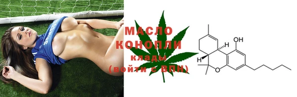 индика Абинск