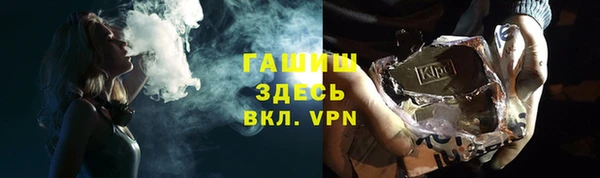 индика Абинск