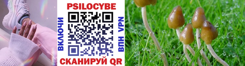 Галлюциногенные грибы Psilocybine cubensis  Благодарный 