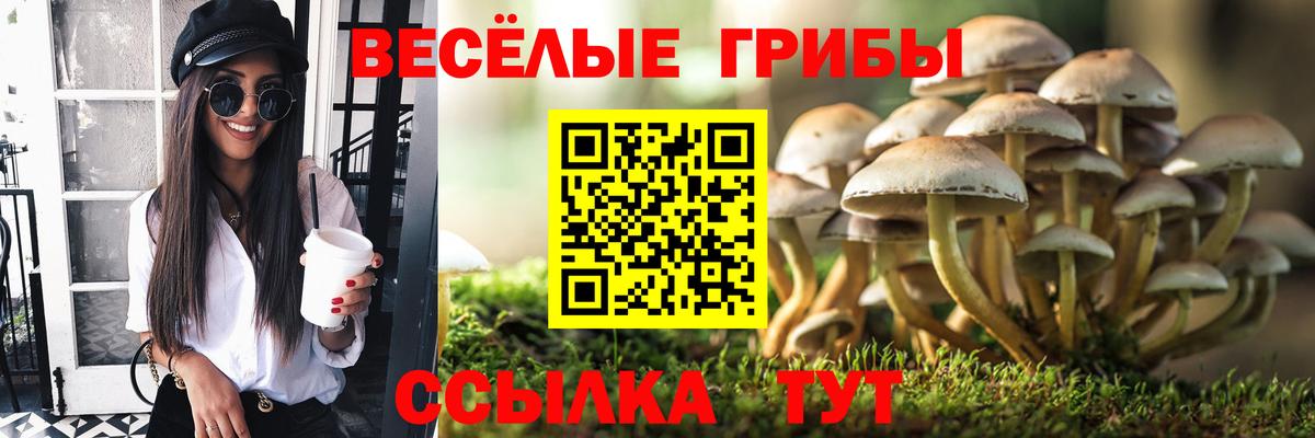 Псилоцибиновые грибы мухоморы Благодарный