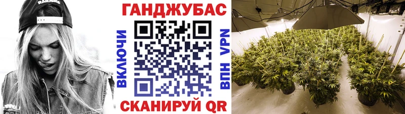 Каннабис марихуана Благодарный
